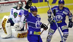 Sedmica u mreži, petica iz zalaganja