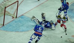 Medvjedi pogreškama u poraz