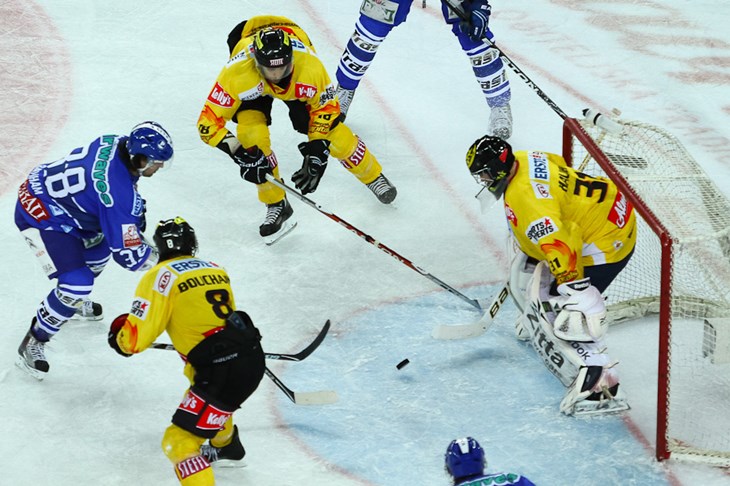 Medvjedi napokon osvojili Beč