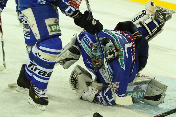 Medvjedima i treći poraz