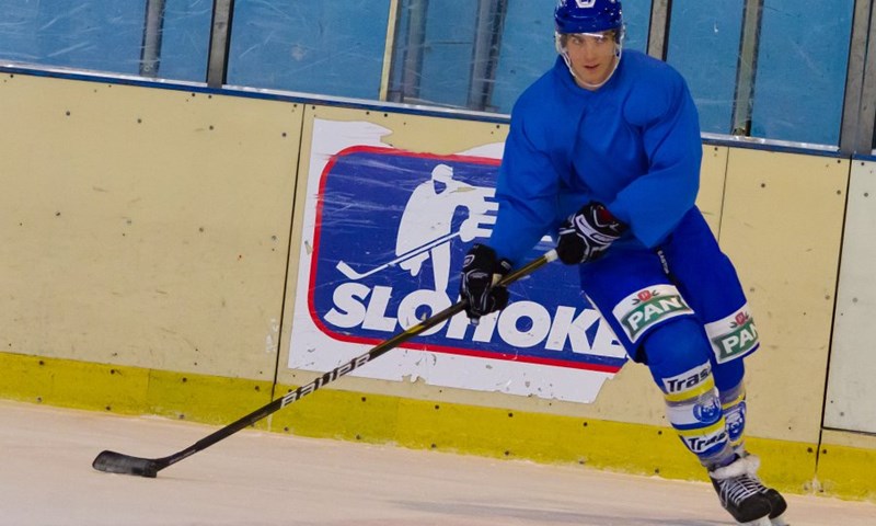 Rendulić: "Linz nema šanse na Šalati"