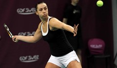 Lisjak bez naslova u paru