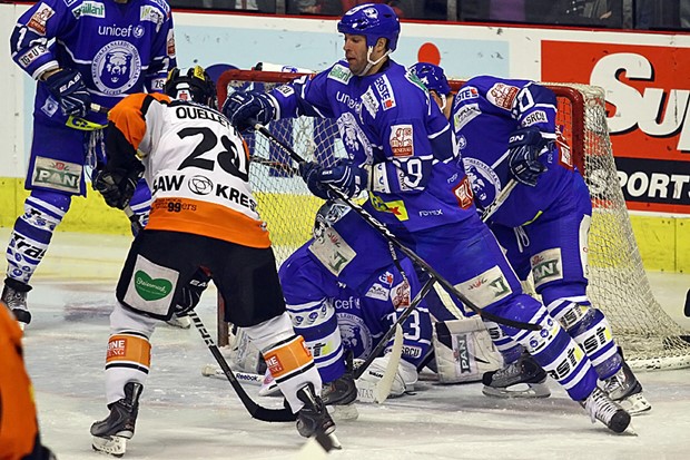 Medvjedi doveli kanadskog braniča