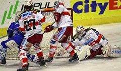 Medvjedi u teškoj situaciji