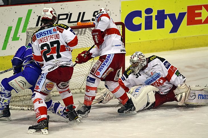 Medvjedi u teškoj situaciji