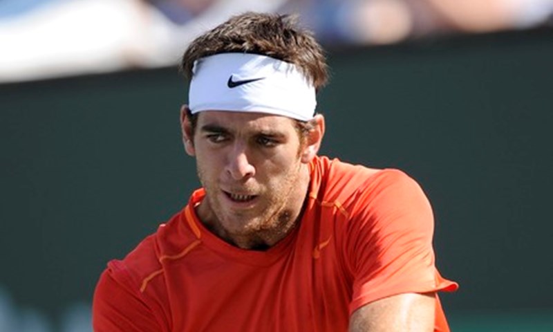 Del Potro: "Igram bolje od Ljubičića"