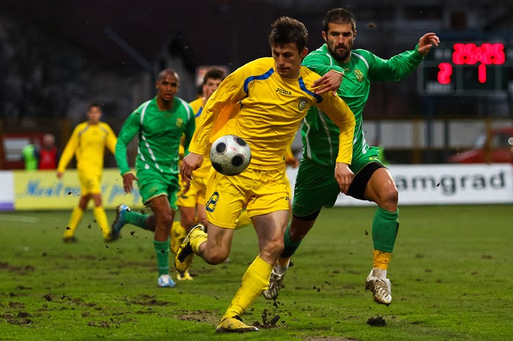 Žuti uvjerljivi s niželigašima