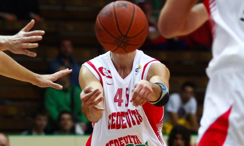 Veljko Mršić u Cedeviti