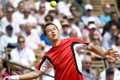 Kohlschreiber uveo Nijemce u finale