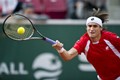 Söderling i Berdych, Ferrer i Almagro
