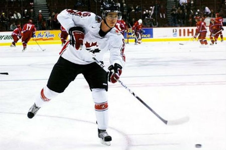 Novi Medvjed u zagrebačkom brlogu