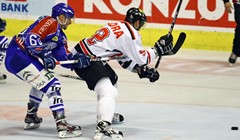 Češka premijera za dokazivanje Medvjeda