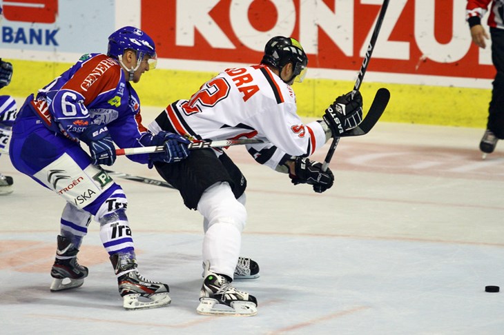 Češka premijera za dokazivanje Medvjeda