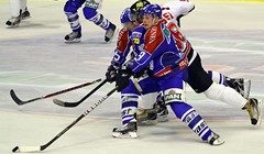 Medvjedi uspješni u Znojmu