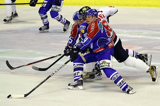 Medvjedi uspješni u Znojmu