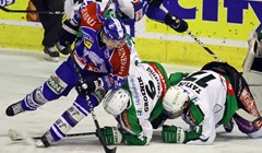 Slavlje Medvjeda u Ljubljani