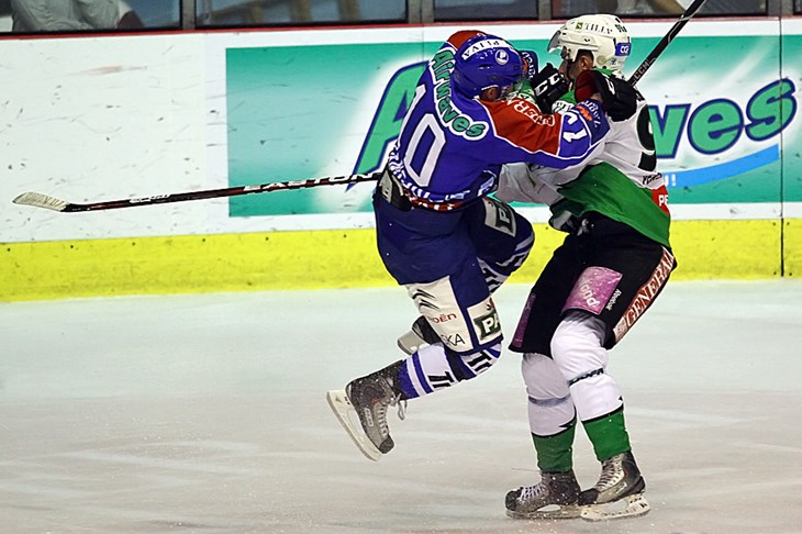 Medvjedi u Ljubljani po reprizu Jesenica