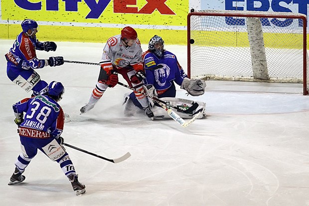 "Petarda" Medvjeda u Jesenicama