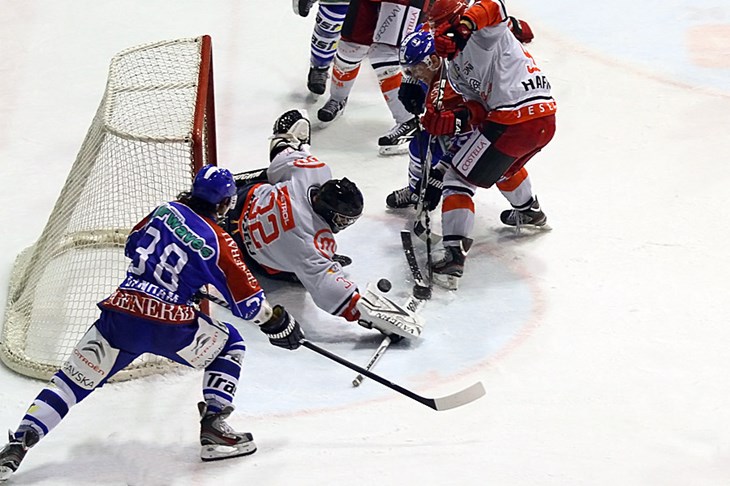 Medveščak napadao, Jesenice pogodile