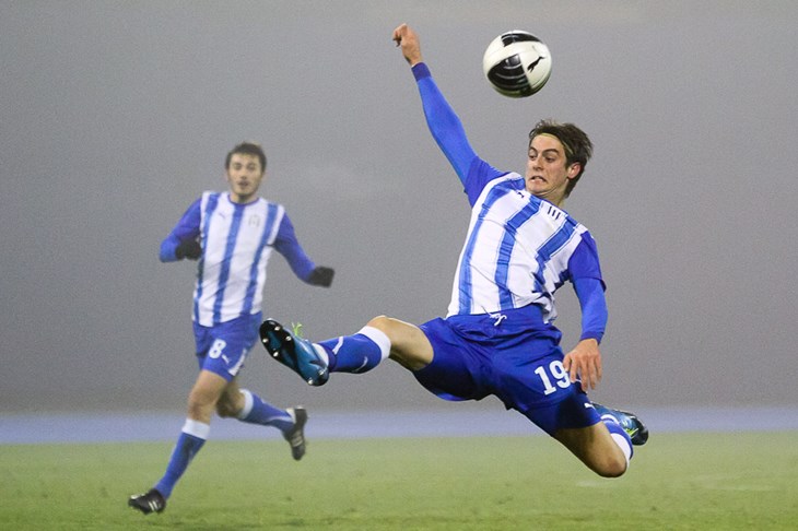 Riječka kamilica u jesenskom stilu