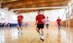 Goluža pozvao zamjenu za Štrleka