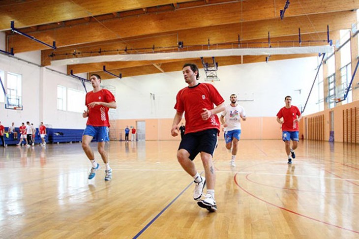 Goluža pozvao zamjenu za Štrleka