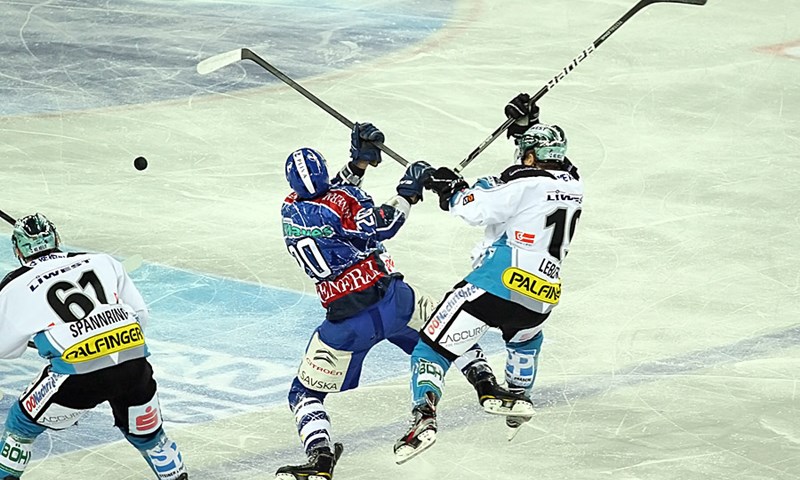Aktualni prvaci u srazu s Medvjedima u Areni, dokazivanje pred doigravanje