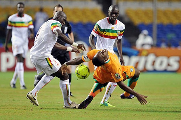 Video: Slonovi ipak došli do kraja puta