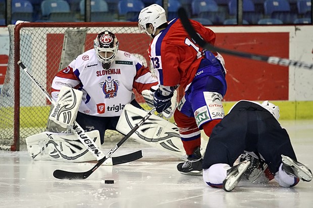 Vratarski povratnik i bivši NHL-ovac pojačavaju Medvjede