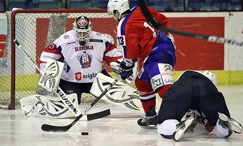 Vratarski povratnik i bivši NHL-ovac pojačavaju Medvjede