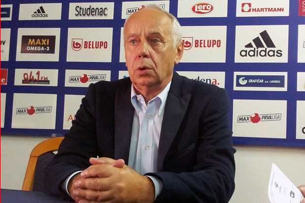 Šušak: "Na travnjaku dali više no što pokazuje stanje na ljestvici"