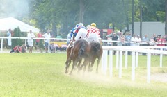 Galopske trke, Classic Gemu Kup Cetinskog kraja