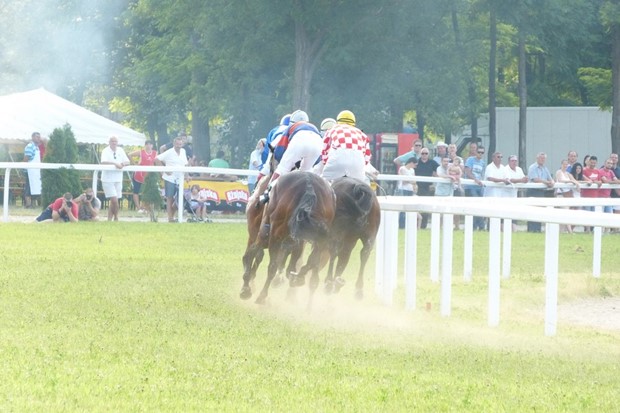 Galopske trke, Classic Gemu Kup Cetinskog kraja