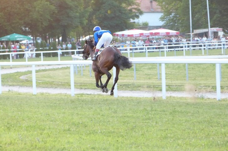 Hipodrom Zagreb domaćin Međunarodnoj galopskoj utrci