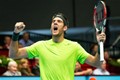 Del Potro nakon Estorila i Marseillea pokorio i Beč, probudio Žemlju iz sna