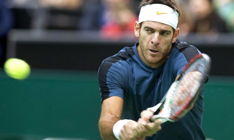 Kvalifikant koban za Tipsarevića, Del Potro se provukao