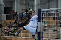 Zagrebaši pobjedom nad Dinamo Minskom osigurali treće mjesto na Masters de Grenobleu