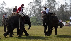 Tko to tamo jaše slonove
