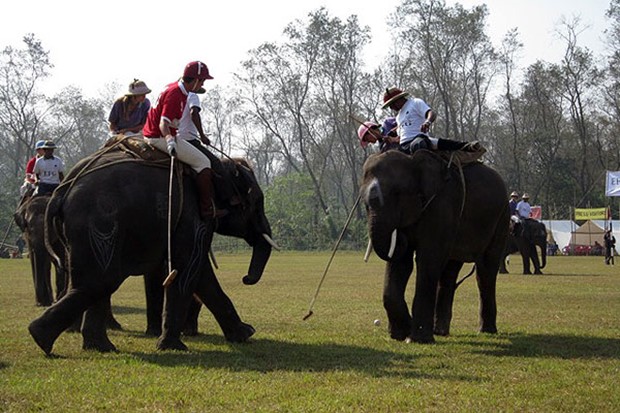 Tko to tamo jaše slonove
