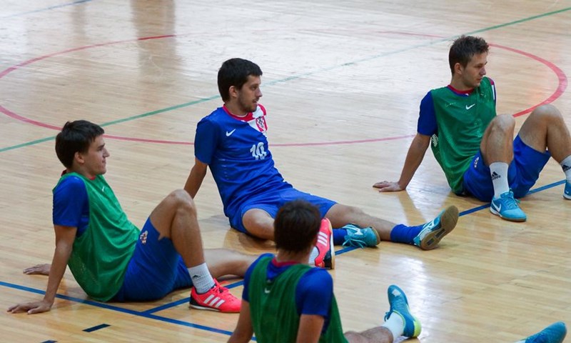 Stanković objavio popis za dvije prijateljske utakmice protiv aktualnih prvaka Europe