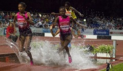Hanžekovićev memorijal nadomak 'dijamantnim' mitinzima