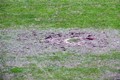 Zbog obilne kiše odgođen uzvrat u Zadru, još se ne zna novi datum odigravanja utakmice