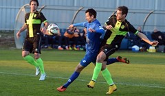 Apel Puljana HNS-u: "Zaustavite teror prema Istri, u Zadru se događala lakrdija"