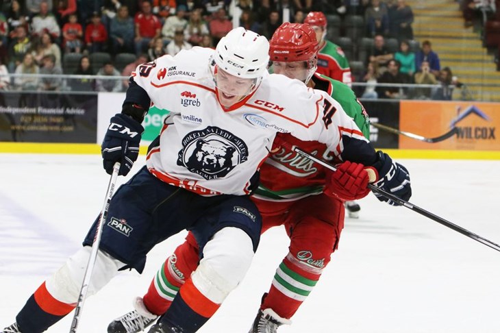 Medveščak na sto posto