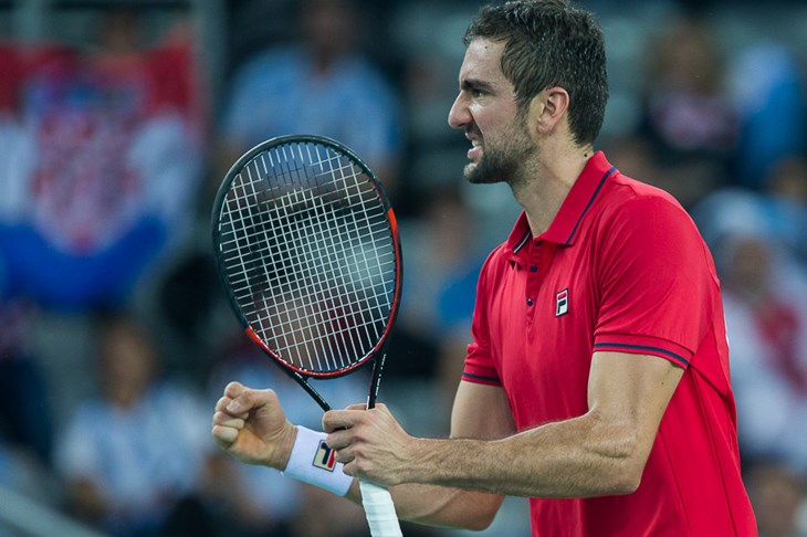 Vodstvo je tu: Čilić junački preživio neslućenu inspiraciju Delbonisa