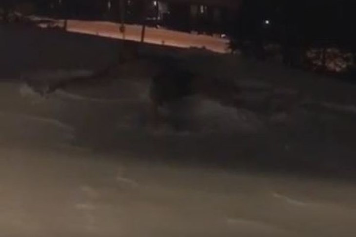 FANATIK: Zlatan zna kako uživati u Božiću