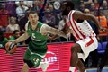 VIDEO: Crvena zvezda nastavlja pobjednički niz, u Beogradu pao i Panathinaikos