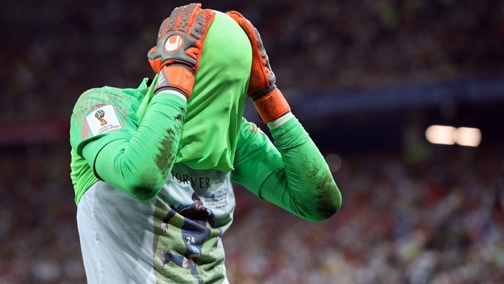 HNS novčano kažnjen zbog nedopuštenih napitaka i upozoren zbog majice s Ćustićevim likom