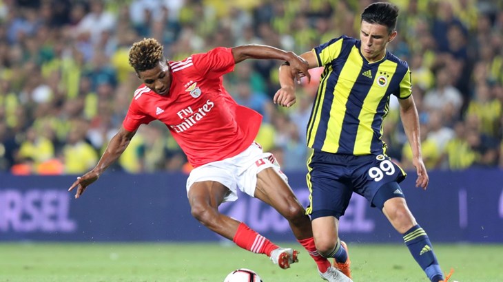 Predstavljamo Fenerbahče: Najuspješniji turski klub i danas je jak i moćan