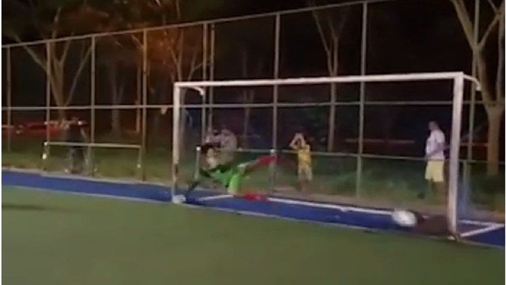 FANATIK: Kada ne može vratar, pas spašava situaciju